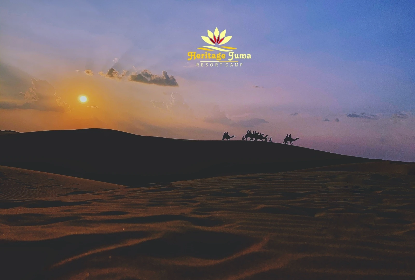 camel safari camel safari